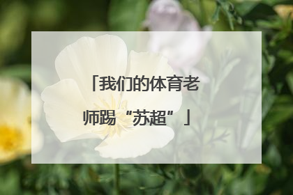 我们的体育老师踢“苏超”